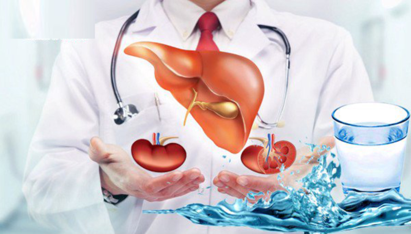 Giải độc gan Condition Liver