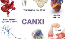 thieu-canxi
