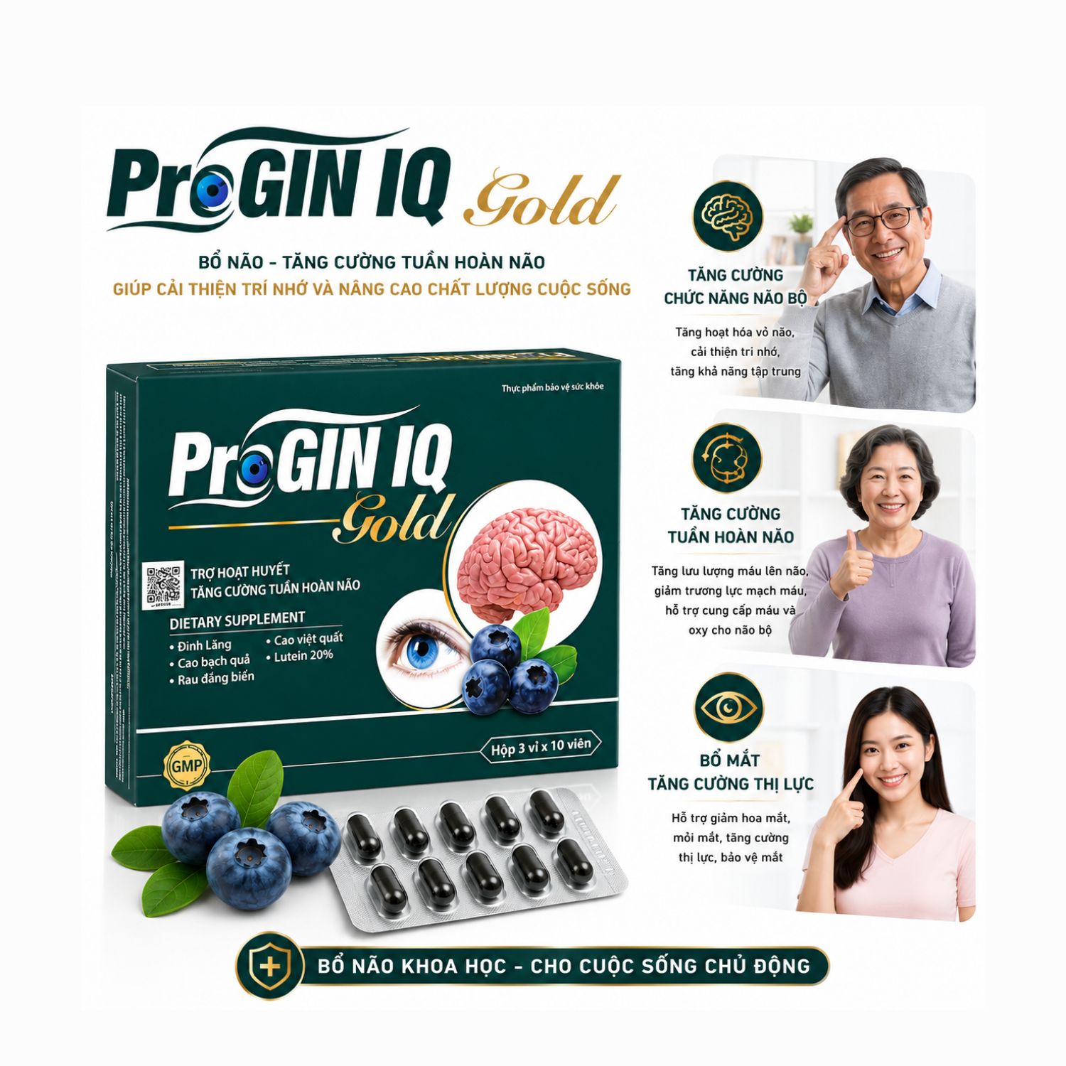 Progin IQ Gold 30 Viên - Hỗ Trợ Hoạt Huyết, Tăng Cường Tuần Hoàn Máu Não, Giảm Đau Đầu Chóng Mặt